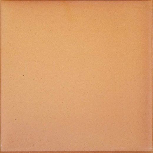 Pavimento gres extrusionado 39,5x39,5x2 cm Natural   Gres de Aragon