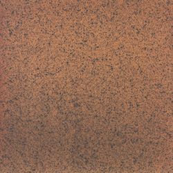 Pavimento gres extrusionado Classic Aneto 33x33 cm  Gres Aragon